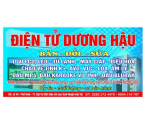 Điện tử Dương Hậu