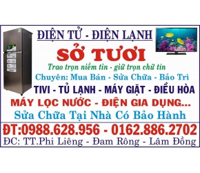 Điện tử điện lạnh Sở Tươi