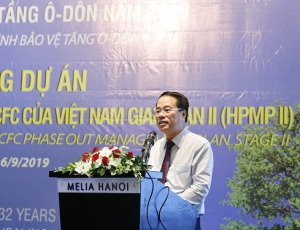 Dự án 