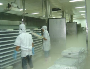 Cắt giảm sử dụng môi chất HCFC – 22 để bảo vệ môi trường